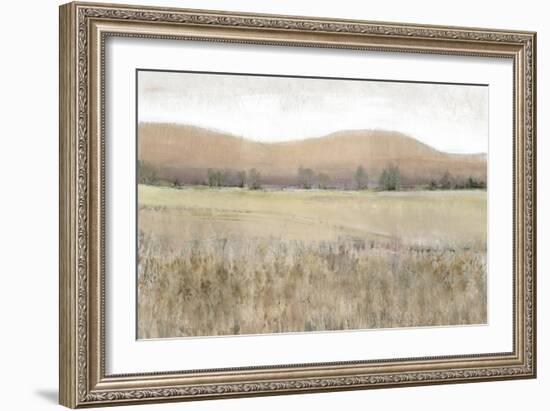 Dry Heat II-Tim O'toole-Framed Art Print