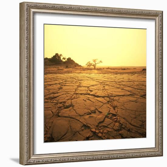 Dry Landscape-Andrushko Galyna-Framed Premium Giclee Print