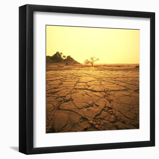 Dry Landscape-Andrushko Galyna-Framed Art Print