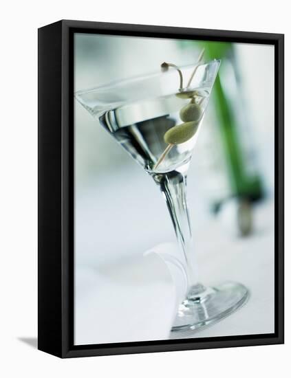 Dry Martini-Ian Garlick-Framed Premier Image Canvas