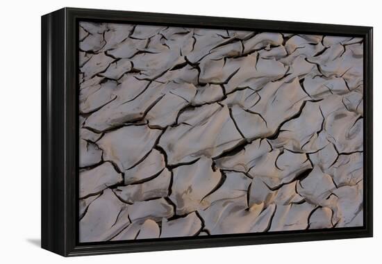 Dry River Bed, Skeleton Coast Park, Namibia, Africa-Thorsten Milse-Framed Premier Image Canvas