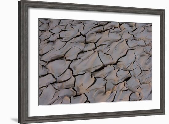 Dry River Bed, Skeleton Coast Park, Namibia, Africa-Thorsten Milse-Framed Photographic Print