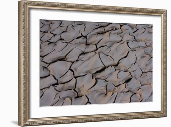 Dry River Bed, Skeleton Coast Park, Namibia, Africa-Thorsten Milse-Framed Photographic Print