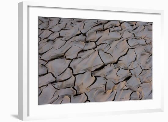 Dry River Bed, Skeleton Coast Park, Namibia, Africa-Thorsten Milse-Framed Photographic Print