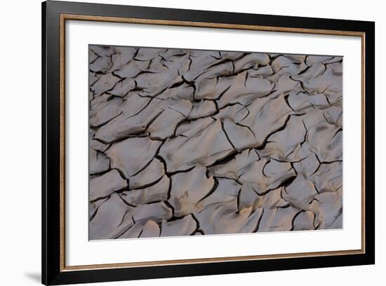 Dry River Bed, Skeleton Coast Park, Namibia, Africa-Thorsten Milse-Framed Photographic Print