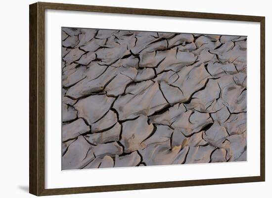 Dry River Bed, Skeleton Coast Park, Namibia, Africa-Thorsten Milse-Framed Photographic Print