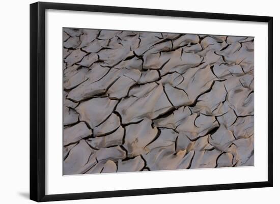 Dry River Bed, Skeleton Coast Park, Namibia, Africa-Thorsten Milse-Framed Photographic Print