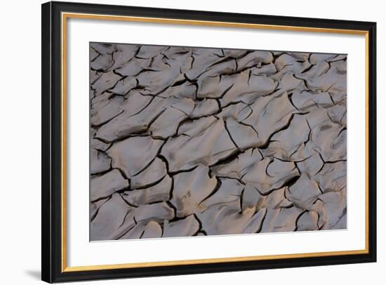 Dry River Bed, Skeleton Coast Park, Namibia, Africa-Thorsten Milse-Framed Photographic Print