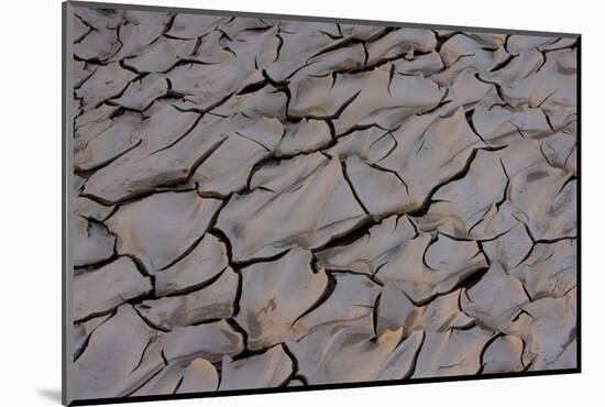 Dry River Bed, Skeleton Coast Park, Namibia, Africa-Thorsten Milse-Mounted Photographic Print