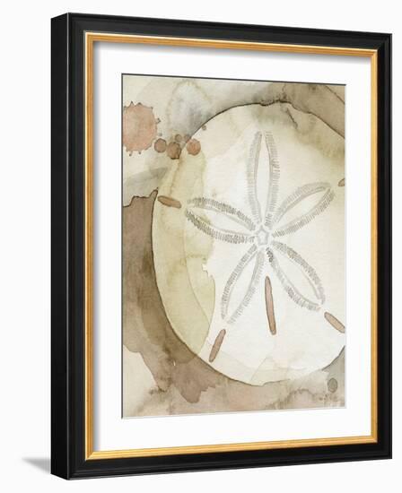 Dry Sand Dollar II-Grace Popp-Framed Art Print