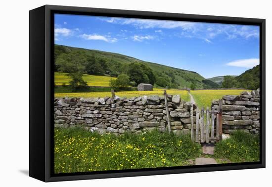 Dry Stone Wall and Gate in Meadow at Muker-Mark Sunderland-Framed Premier Image Canvas