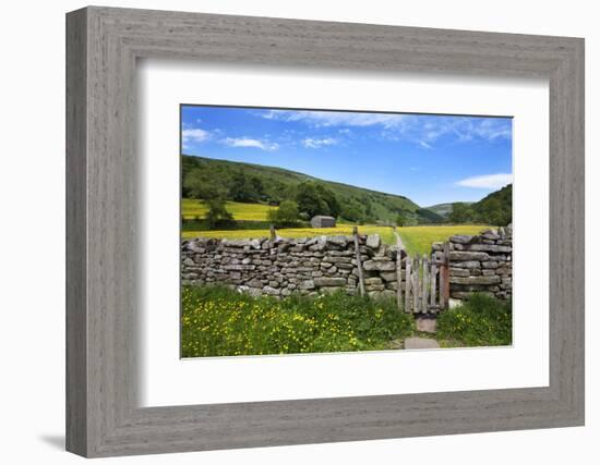 Dry Stone Wall and Gate in Meadow at Muker-Mark Sunderland-Framed Photographic Print