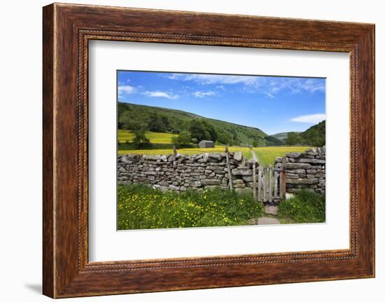 Dry Stone Wall and Gate in Meadow at Muker-Mark Sunderland-Framed Photographic Print