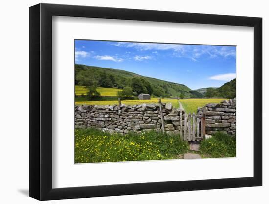 Dry Stone Wall and Gate in Meadow at Muker-Mark Sunderland-Framed Photographic Print