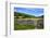 Dry Stone Wall and Gate in Meadow at Muker-Mark Sunderland-Framed Photographic Print