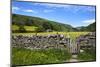 Dry Stone Wall and Gate in Meadow at Muker-Mark Sunderland-Mounted Photographic Print