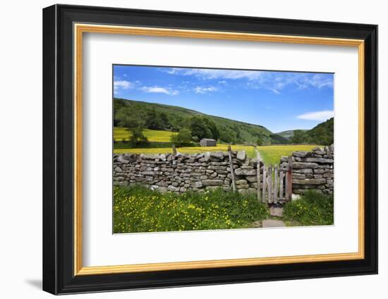 Dry Stone Wall and Gate in Meadow at Muker-Mark Sunderland-Framed Photographic Print