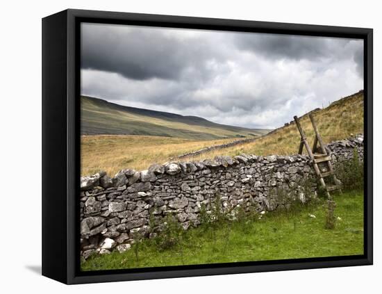 Dry Stone Wall and Ladder Stile at Twisleton Scar, Yorkshire Dales, Yorkshire, England-Mark Sunderland-Framed Premier Image Canvas