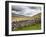 Dry Stone Wall and Ladder Stile at Twisleton Scar, Yorkshire Dales, Yorkshire, England-Mark Sunderland-Framed Photographic Print