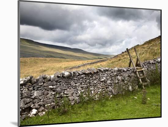 Dry Stone Wall and Ladder Stile at Twisleton Scar, Yorkshire Dales, Yorkshire, England-Mark Sunderland-Mounted Photographic Print