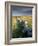 Dry Stone Wall and Moorland Grassland, Late Evening Light, Dartmoor Np, Devon, Uk. September 2008-Ross Hoddinott-Framed Photographic Print