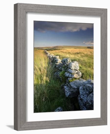 Dry Stone Wall and Moorland Grassland, Late Evening Light, Dartmoor Np, Devon, Uk. September 2008-Ross Hoddinott-Framed Photographic Print