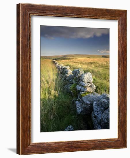 Dry Stone Wall and Moorland Grassland, Late Evening Light, Dartmoor Np, Devon, Uk. September 2008-Ross Hoddinott-Framed Photographic Print