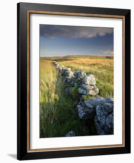 Dry Stone Wall and Moorland Grassland, Late Evening Light, Dartmoor Np, Devon, Uk. September 2008-Ross Hoddinott-Framed Photographic Print
