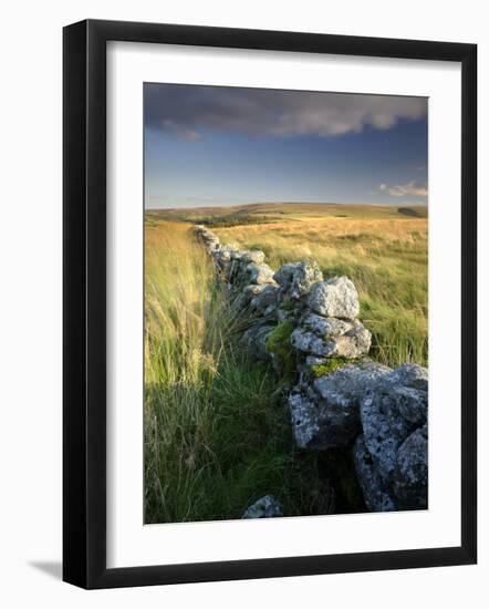 Dry Stone Wall and Moorland Grassland, Late Evening Light, Dartmoor Np, Devon, Uk. September 2008-Ross Hoddinott-Framed Photographic Print