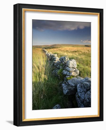 Dry Stone Wall and Moorland Grassland, Late Evening Light, Dartmoor Np, Devon, Uk. September 2008-Ross Hoddinott-Framed Photographic Print