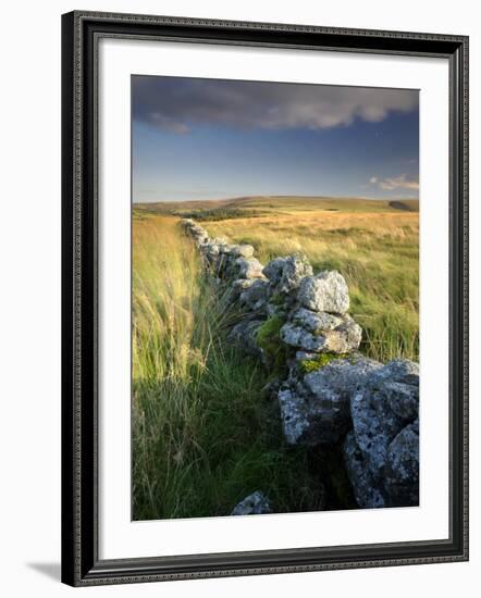 Dry Stone Wall and Moorland Grassland, Late Evening Light, Dartmoor Np, Devon, Uk. September 2008-Ross Hoddinott-Framed Photographic Print