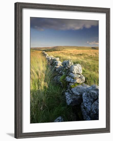 Dry Stone Wall and Moorland Grassland, Late Evening Light, Dartmoor Np, Devon, Uk. September 2008-Ross Hoddinott-Framed Photographic Print