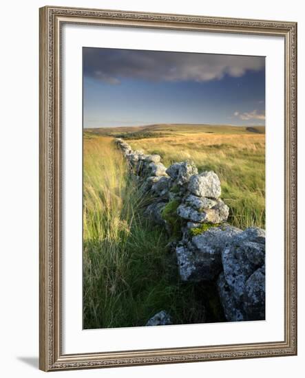 Dry Stone Wall and Moorland Grassland, Late Evening Light, Dartmoor Np, Devon, Uk. September 2008-Ross Hoddinott-Framed Photographic Print