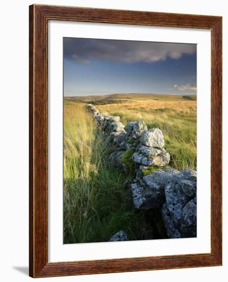 Dry Stone Wall and Moorland Grassland, Late Evening Light, Dartmoor Np, Devon, Uk. September 2008-Ross Hoddinott-Framed Photographic Print