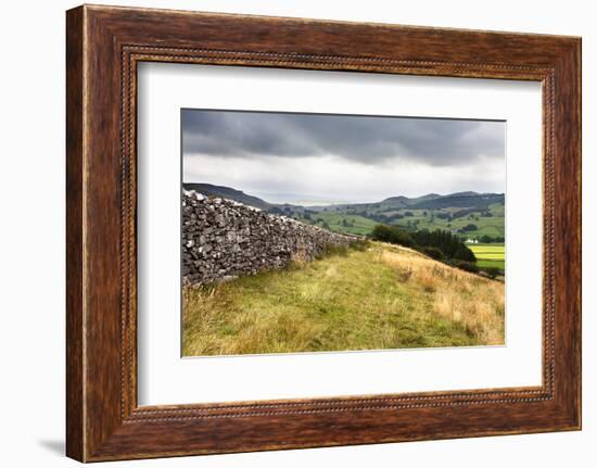 Dry Stone Wall and Public Footpath in Crummack Dale, Yorkshire, England, United Kingdom, Europe-Mark Sunderland-Framed Photographic Print