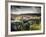 Dry Stone Wall, Near Birch Tor, Dartmoor Np, Devon. September 2008-Ross Hoddinott-Framed Photographic Print