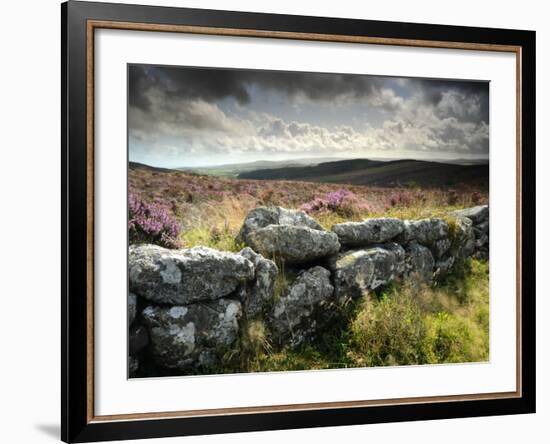 Dry Stone Wall, Near Birch Tor, Dartmoor Np, Devon. September 2008-Ross Hoddinott-Framed Photographic Print