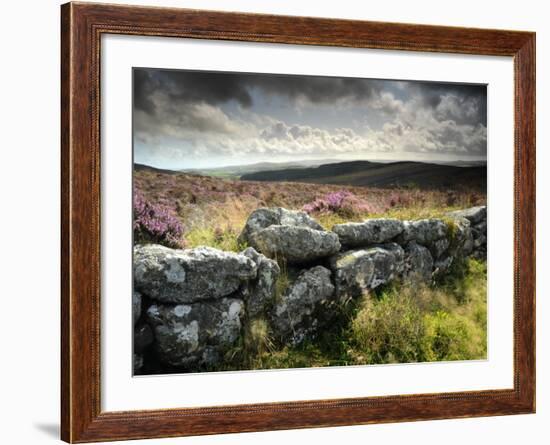 Dry Stone Wall, Near Birch Tor, Dartmoor Np, Devon. September 2008-Ross Hoddinott-Framed Photographic Print