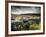 Dry Stone Wall, Near Birch Tor, Dartmoor Np, Devon. September 2008-Ross Hoddinott-Framed Photographic Print