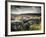 Dry Stone Wall, Near Birch Tor, Dartmoor Np, Devon. September 2008-Ross Hoddinott-Framed Photographic Print