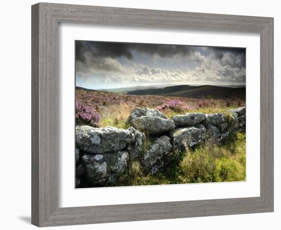 Dry Stone Wall, Near Birch Tor, Dartmoor Np, Devon. September 2008-Ross Hoddinott-Framed Photographic Print