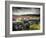 Dry Stone Wall, Near Birch Tor, Dartmoor Np, Devon. September 2008-Ross Hoddinott-Framed Photographic Print