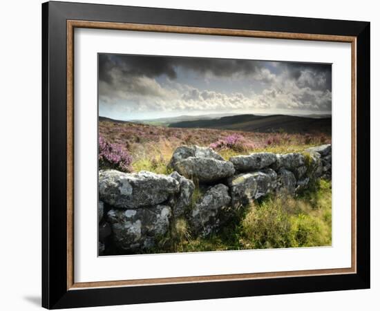 Dry Stone Wall, Near Birch Tor, Dartmoor Np, Devon. September 2008-Ross Hoddinott-Framed Photographic Print