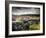 Dry Stone Wall, Near Birch Tor, Dartmoor Np, Devon. September 2008-Ross Hoddinott-Framed Photographic Print