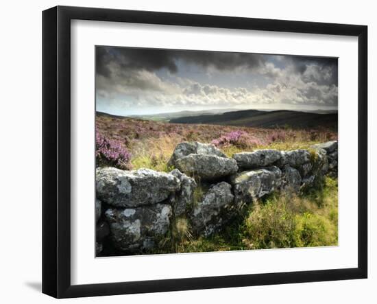 Dry Stone Wall, Near Birch Tor, Dartmoor Np, Devon. September 2008-Ross Hoddinott-Framed Photographic Print