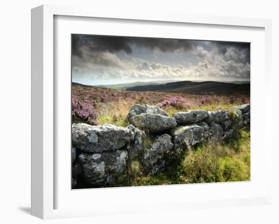 Dry Stone Wall, Near Birch Tor, Dartmoor Np, Devon. September 2008-Ross Hoddinott-Framed Photographic Print