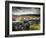 Dry Stone Wall, Near Birch Tor, Dartmoor Np, Devon. September 2008-Ross Hoddinott-Framed Photographic Print