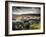 Dry Stone Wall, Near Birch Tor, Dartmoor Np, Devon. September 2008-Ross Hoddinott-Framed Photographic Print