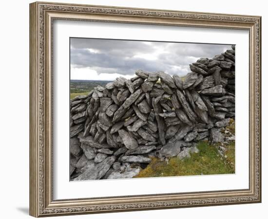 Dry Stone Wall on the Burren, County Clare, Munster, Republic of Ireland-Gary Cook-Framed Photographic Print