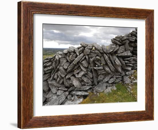 Dry Stone Wall on the Burren, County Clare, Munster, Republic of Ireland-Gary Cook-Framed Photographic Print